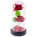 Wieczne 2 Róże w Kopule z Oświetleniem LED i Płatkami Róż Czerwone 21x11cm