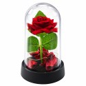Wieczna Róża w Kopule z Oświetleniem LED Czerwona z Płatkami Róż 14x8cm
