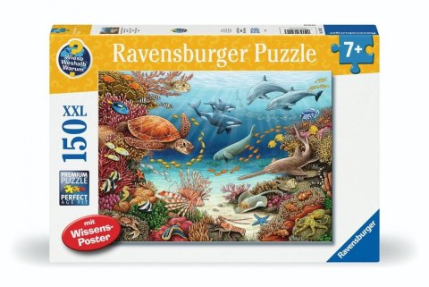 Puzzle 150 Under water