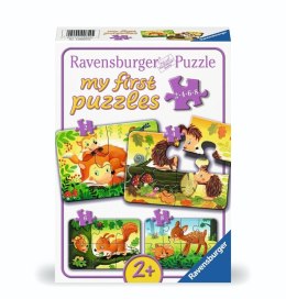 Puzzle 2/4/6/8 Forest Animal Fun