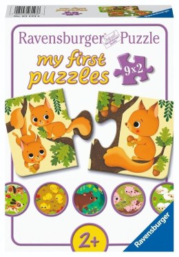 Puzzle 9x2 Animals and their babies