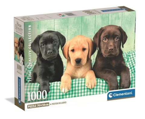 Puzzle 1000 Three Labs