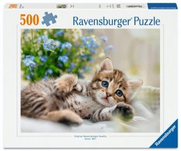 Puzzle 500 Kitten