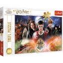 Puzzle - 300 - Harry Potter - Tajemniczy Harry Potter - Trefl 23001