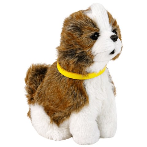 Interaktywny Pies Piesek Rasy Shitzu Pluszowy Szczeka Rusza Ogonem