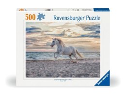 Puzzle 2D: Galop na plaży 500el