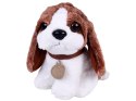 Urocza Maskotka Piesek w Torebce przytulanka dla dziecka ZA5856