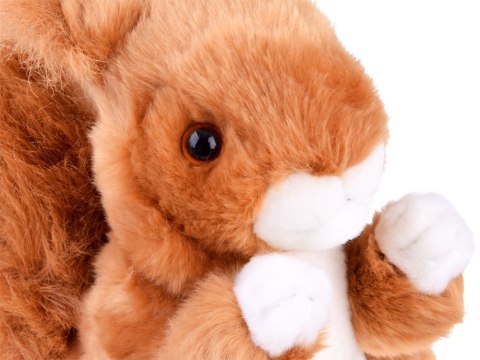 Maskotka ruda Wiewiórka pospolita 22cm 13398