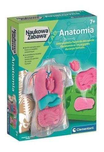 Naukowa Zabawa. Anatomia